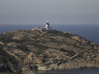 DSC8158