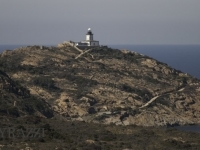 DSC8163