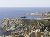 DSC8175
