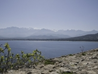 _DSC9620.jpg