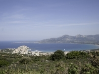 DSC9674