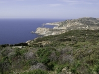 DSC9683
