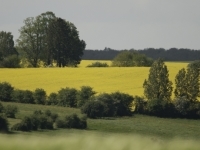 _DSC8662.jpg