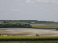 _DSC8763.jpg