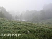 DSC_1357