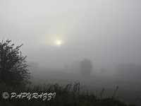 DSC_1361