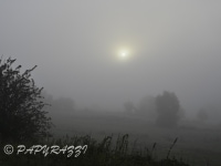 DSC_1369