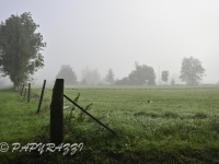 DSC_1439