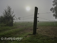 DSC_1440