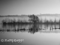 _DSC4215
