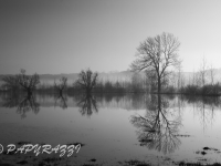 _DSC4220