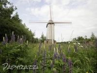 2012-06-02 à 18-22-10