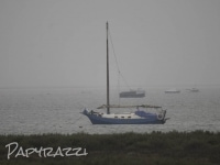 _DSC0974