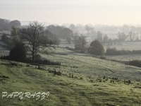 DSC_4659