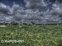 DSC_8690_tonemappé