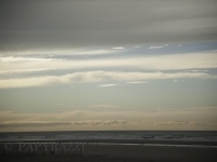 _DSC5123