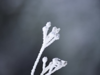 _DSC0589