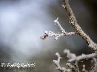 _DSC0598
