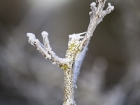 _DSC0609