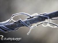 _DSC0632