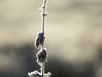 _DSC0641