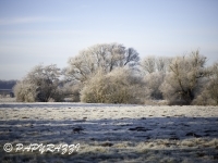 _DSC0643