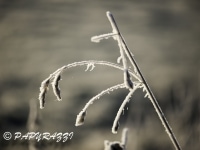 _DSC0646