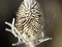 _DSC0700