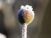 _DSC0715
