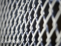 _DSC0725