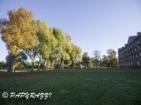 _DSC9613