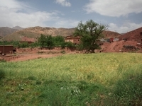 dsc0903