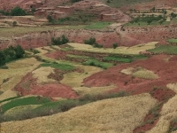 dsc0958