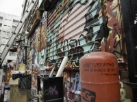 _DSC9103.jpg