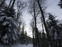 _DSC5784