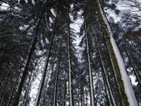 _DSC5785
