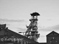 DSC_1732