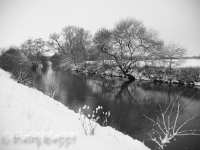 _DSC5171