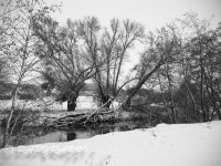 _DSC5177