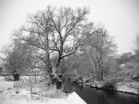 _DSC5205