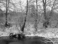 _DSC5212