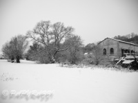 _DSC5232