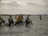 _DSC3738