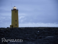_DSC0078