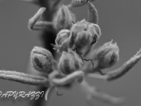 02.04