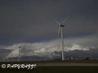 _DSC2114