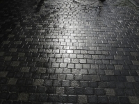 DSCN3245