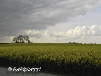 DSCN4988