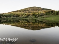 _DSC5364