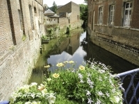 DSCN5075